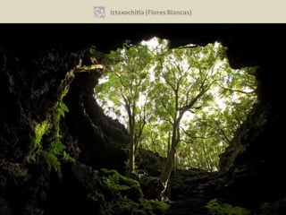 Vol. 1, N° 21 (2012)   15
 