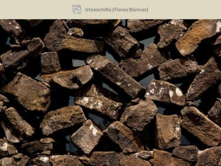 Vol. 1, N° 21 (2012)   17
 