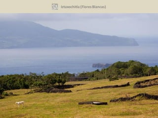 Vol. 1, N° 21 (2012)   19
 