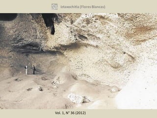 Vol. 1, N° 36 (2012)
 