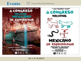 Evento




         Vol. 1, N° 36 (2012)
 