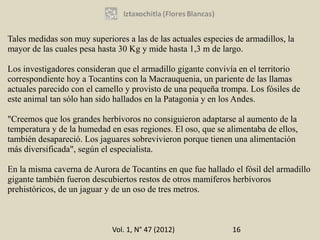 Tales medidas son muy superiores a las de las actuales especies de armadillos, la
mayor de las cuales pesa hasta 30 Kg y mide hasta 1,3 m de largo.

Los investigadores consideran que el armadillo gigante convivía en el territorio
correspondiente hoy a Tocantins con la Macrauquenia, un pariente de las llamas
actuales parecido con el camello y provisto de una pequeña trompa. Los fósiles de
este animal tan sólo han sido hallados en la Patagonia y en los Andes.

"Creemos que los grandes herbívoros no consiguieron adaptarse al aumento de la
temperatura y de la humedad en esas regiones. El oso, que se alimentaba de ellos,
también desapareció. Los jaguares sobrevivieron porque tienen una alimentación
más diversificada", según el especialista.

En la misma caverna de Aurora de Tocantins en que fue hallado el fósil del armadillo
gigante también fueron descubiertos restos de otros mamíferos herbívoros
prehistóricos, de un jaguar y de un oso de tres metros.



                             Vol. 1, N° 47 (2012)              16
 