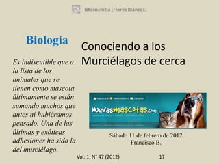 Biología
                          Conociendo a los
Es indiscutible que a     Murciélagos de cerca
la lista de los
animales que se
tienen como mascota
últimamente se están
sumando muchos que
antes ni hubiéramos
pensado. Una de las
últimas y exóticas                     Sábado 11 de febrero de 2012
adhesiones ha sido la                          Francisco B.
del murciélago.
                        Vol. 1, N° 47 (2012)              17
 
