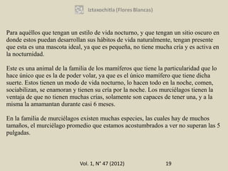 Para aquéllos que tengan un estilo de vida nocturno, y que tengan un sitio oscuro en
donde estos puedan desarrollan sus hábitos de vida naturalmente, tengan presente
que esta es una mascota ideal, ya que es pequeña, no tiene mucha cría y es activa en
la nocturnidad.

Este es una animal de la familia de los mamíferos que tiene la particularidad que lo
hace único que es la de poder volar, ya que es el único mamífero que tiene dicha
suerte. Estos tienen un modo de vida nocturno, lo hacen todo en la noche, comen,
sociabilizan, se enamoran y tienen su cría por la noche. Los murciélagos tienen la
ventaja de que no tienen muchas crías, solamente son capaces de tener una, y a la
misma la amamantan durante casi 6 meses.

En la familia de murciélagos existen muchas especies, las cuales hay de muchos
tamaños, el murciélago promedio que estamos acostumbrados a ver no superan las 5
pulgadas.



                             Vol. 1, N° 47 (2012)              19
 