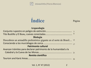 Índice                                                    Página

                             Arqueología
Conjunto rupestre en peligro de extinción.........................................             3
Tito Bustillo y El Buxu, cuevas conectadas..........................................           8

                                Biología
Descubren un armadillo prehistórico gigante en el norte de Brasil....                          13
Conociendo a los murciélagos de cerca..............................................            17
                          Patrimonio cultural
Avanzan trámites para declarar patrimonio de la humanidad a la
  Catedral y la Cueva de las Monas....................................................         21
                           Revista científica
Tourism and Karst Areas.....................................................................   26


                                      Vol. 1, N° 47 (2012)                          2
 