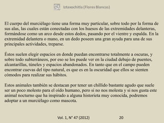 El cuerpo del murciélago tiene una forma muy particular, sobre todo por la forma de
sus alas, las cuales están conectadas con los huesos de las extremidades delanteras,
formándose como un arco desde estos dedos, pasando por el vientre y espalda. En la
extremidad delantera o mano, en un dedo poseen una gran ayuda para una de sus
principales actividades, treparse.

Éstos suelen elegir espacios en donde puedan encontrarse totalmente a oscuras, y
sobre todo subterráneos, por eso se los puede ver en la ciudad debajo de puentes,
alcantarillas, túneles y espacios abandonados. En tanto que en el campo pueden
encontrar cuevas del tipo natural, es que es en la oscuridad que ellos se sienten
cómodos para realizar sus hábitos.

Estos animales también se destacan por tener un chillido bastante agudo que suele
ser un poco molesto para el oído humano, pero si no nos molesta y si nos gusta este
animal nocturno que ha inspirado a alguna historieta muy conocida, podremos
adoptar a un murciélago como mascota.


                            Vol. 1, N° 47 (2012)              20
 