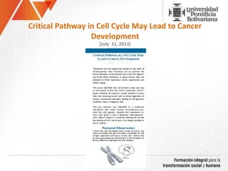 Critical Pathway in Cell Cycle May Lead to Cancer
Development
(July 11, 2013)
 
 