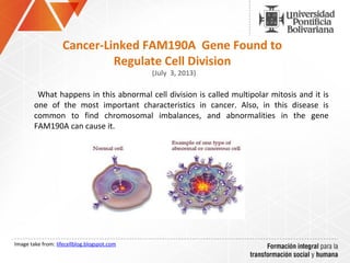 Cancer-Linked FAM190A Gene Found to
Regulate Cell Division
(July 3, 2013)
What happens in this abnormal cell division is called multipolar mitosis and it is
one of the most important characteristics in cancer. Also, in this disease is
common to find chromosomal imbalances, and abnormalities in the gene
FAM190A can cause it.
Image take from: lifecellblog.blogspot.com
 