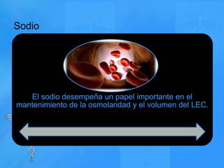 Sodio

El sodio desempeña un papel importante en el
mantenimiento de la osmolaridad y el volumen del LEC.

 