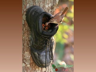 No tires nada... com gênio todo sirve