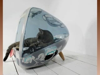 No tires nada... com gênio todo sirve