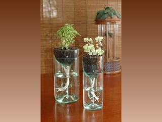 No tires nada... com gênio todo sirve