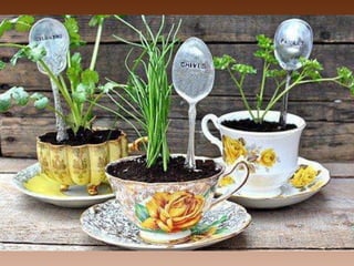 No tires nada... com gênio todo sirve