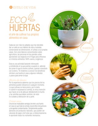 ESTILO DE VIDA
Cada vez son más los adeptos que han decidido
dar un salto en sus hábitos de vida y trasladar,
conservando las dimensiones, el campo a sus propias
casas. Con unos básicos conocimientos sobre
agricultura, las personas en las grandes urbes
aprovechan sus espacios en el hogar para ofrecerse
a sí mismos alimentos 100% sanos y orgánicos.
Esta es una actividad bastante interesante
y entretenida en la que podrías ocuparte si, además
de comer lo que tú mismo cultives, quieras conectarte
con la tierra. Te invitamos a conocer los beneficios
de tener una huerta en casa y algunos métodos
o pasos para armar la tuya.
Ahorro de dinero
Por la experiencia sabemos que los precios de los
alimentos pueden elevarse en cualquier momento.
Lo que cultivas no tiene precio, por lo tanto
ni subirá ni escaseará tu comida, la única inversión
que haces es la de adecuar debidamente la huerta
y las semillas que debes sembrar, de resto
es cuidado y dedicación de tu parte.
Comer sano
Una de las invaluables ventajas de tener una huerta
en casa es que toda la comida crecerá libre de químicos
y de agentes contaminantes. Simplemente puedes
abonarla con productos naturales, que pueden ser
cáscaras de papa o de frutas que, al descomponerse,
le aportarán todos los nutrientes necesarios.
ECO
HUERTASel arte de cultivar tus propios
alimentos en casa
ROMERO
TOMATE
CHERRY
SALUD
No es una dieta,
es un estilo
de vida
“ Hay que entender
que comer bien,
es un estilo de vida”
Régimen, esfuerzo, sacrificio, son algunas de
las palabras que se nos vienen a la mente cuando
nos dicen: “dieta”. No es extraño que muchas
personas incluso lo asocien, a manera de chiste,
con un método de tortura.
Ese es el punto. Para poder mejorar tus hábitos
alimenticios, lo primero que debes dejar atrás es
la carga que tiene esta palabra, porque no se trata
de privarte de un gran número de alimentos, casi
que de manera cruel o masoquista, para después
recaer en un tiempo. Hay que entender que comer
bien, es un estilo de vida.
Lo primero que debes proponerte antes de
empezar es una meta. Quieres llegar a un peso
ideal, quieres sentirte vital de nuevo, quieres volver
a usar la ropa que te gusta o simplemente quisieras
sentirte bien en tus próximas vacaciones bajo el sol.
Tu meta es primordial, pero sobre todo es tan
personal, que solo tú puedes escogerla.
El segundo paso es comprometerse con uno
mismo. Un estilo de vida se asume solo cuando
hay convencimiento, de otra forma solo estás fingiendo
ser alguien que no eres y terminarás incumpliendo tus
promesas.
El tercer paso es darse cuenta que todos
tenemos gustos diferentes dependiendo
de nuestras personalidades, y eso es lo que hará
que una dieta u otra sea más fácil de seguir
como estilo de vida que otra.
 