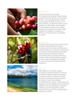 Eje Cafetero:
La vista que ofrece esta zona, ubicada
en los departamentos de Caldas, Risaralda, Quindío,
la región norte del Valle del Cauca y el noroccidente
del Tolima, tiene la capacidad de quitar el aliento
y poner a palpitar más rápido el corazón, con sus
verdes montañas y sus imponentes nevados. Si estás
pensando en un plan tranquilo, busca hospedaje
en fincas cafeteras a las afueras de las ciudades
principales, recorre pueblos como Salento y déjate
contagiar por la vastedad de sus paisajes, por
el delicioso aroma del café fresco y la amabilidad
de su gente.
Amazonas:
Aún antes de aterrizar, puedes sentir como la selva abre
sus brazos y te da la bienvenida. Para algunos,
el contacto cercano con un entorno tan natural puede
resultar abrumador; pero a las pocas horas del encuentro
con el paisaje, la mente se acostumbra y los sentidos
pueden concentrarse simplemente en observar.
Se recomienda realizar un recorrido a través del río
Amazonas, visitar las reservas naturales y levantarse
al menos un día en la madrugada, para ser testigo
de uno de los amaneceres más espectaculares que
se puedan ver.
Boyacá:
Viajar a Boyacá es como regresar al pasado.
La arquitectura colonial que prevalece en muchos de
sus pintorescos pueblos, transporta a otras épocas
y nos pone en contacto con una cultura en las que
muchas de las costumbres de antaño, permanecen
en la mente y el corazón de sus habitantes.
Se recomienda tomar un vehículo y visitar pueblos como
Chiquinquirá, Iza, Paipa y Monguí; entrar a sus hermosas
catedrales, observar con detenimiento su imponente
arquitectura y sus intrincados detalles y terminar
el recorrido en la Laguna de Tota, un paisaje de aguas
cristalinas y brisa fresca.
 