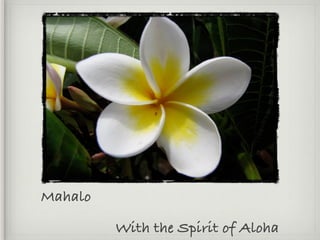 Mahalo

         With the Spirit of Aloha
 