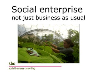 Social enterprise  not just business as usual 