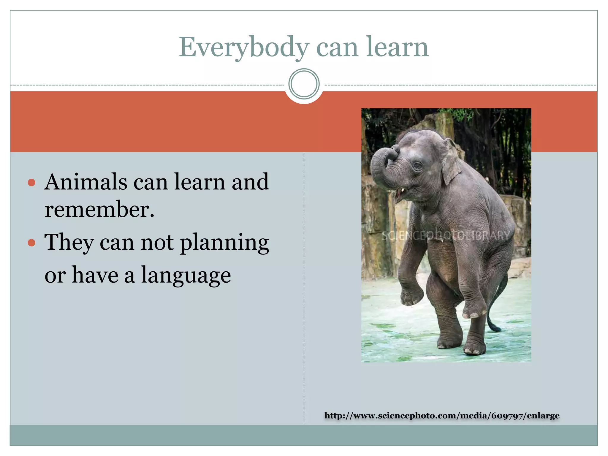 http://www.sciencephoto.com/media/609797/enlarge
 Animals can learn and
remember.
 They can not planning
or have a language
Everybody can learn
 