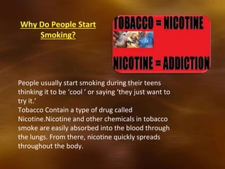 Why Do People Start
Smoking?
People usually start smoking during their teens
thinking it to be ‘cool ’ or saying ‘they just want to
try it.’
Tobacco Contain a type of drug called
Nicotine.Nicotine and other chemicals in tobacco
smoke are easily absorbed into the blood through
the lungs. From there, nicotine quickly spreads
throughout the body.
 