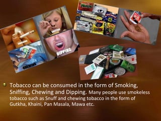 Tobacco can be consumed in the form of Smoking,
Sniffing, Chewing and Dipping. Many people use smokeless
tobacco such as Snuff and chewing tobacco in the form of
Gutkha, Khaini, Pan Masala, Mawa etc.
 
