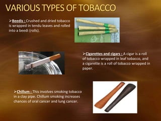 VARIOUS TYPESOFTOBACCO
Beedis : Crushed and dried tobacco
is wrapped in tendu leaves and rolled
into a beedi (rolls).
Cigarettes and cigars : A cigar is a roll
of tobacco wrapped in leaf tobacco, and
a cigarette is a roll of tobacco wrapped in
paper.
Chillum : This involves smoking tobacco
in a clay pipe. Chillum smoking increases
chances of oral cancer and lung cancer.
 