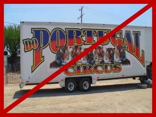 No to Do Portugal Circus