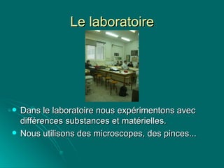 Le laboratoire Dans le laboratoire nous expérimentons avec différences substances et matérielles. Nous utilisons  des microscopes, des pinces... 