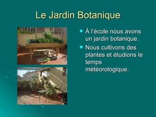 Le Jardin Botanique À l’école nous avons un jardin botanique. Nous cultivons des plantes et étudions le temps météorologique. 