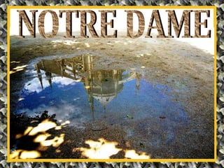 NOTRE DAME 