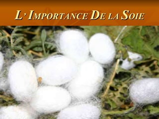 L ’  I MPORTANCE  D E LA  S OIE La soie est très importante pour la ville de Soufli, étant donne qu’ elle: contribue à l’ prospérité financière occupe beaucoup d’ habitants constitue une attraction touristique garde la tradition   