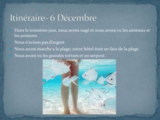  Dans le troisième jour, nous avons nagé et nous avons vu les animaux et
  les poissons
 Nous n’avions pas d’argent
 Nous avons marche a la plage; notre hôtel était en face de la plage
 Nous avons vu les grandes tortues et un serpent.
 