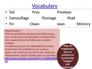 VocabularyTail                   PreyPredatorCamouflagePlumagePeakFin ClawsJawsMimicryImportante!!!Para la próxima semana necesitaremos una venda que nos ayudará a desarrollar una experiencia formativa de nuestra unidad.