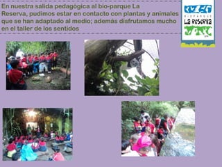 Tendremos quiz de matemáticas sobre resolución de problemas de suma y resta, así como de escritura de números.