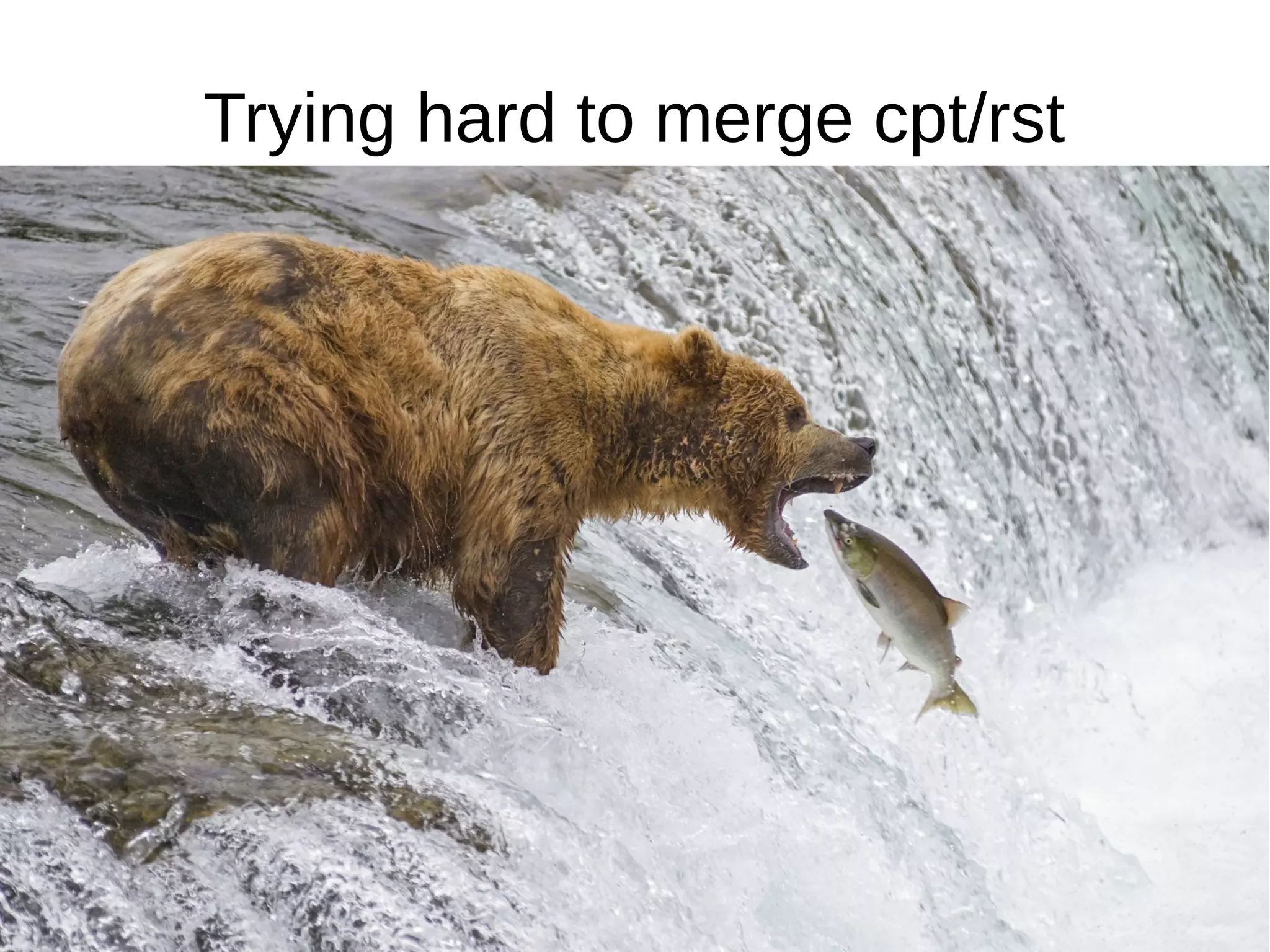 Trying hard to merge cpt/rst
 