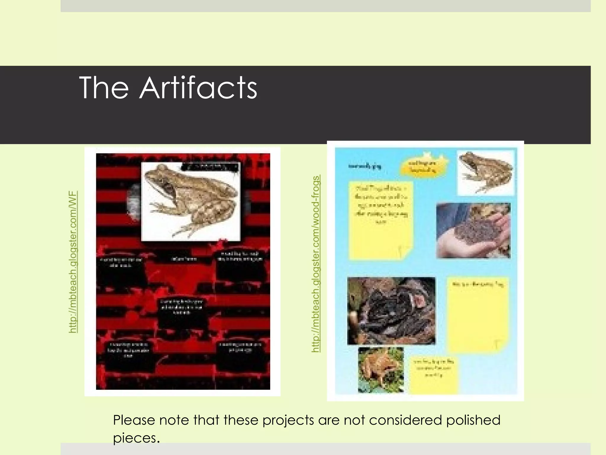 The Artifacts Please note that these projects are not considered polished pieces . 