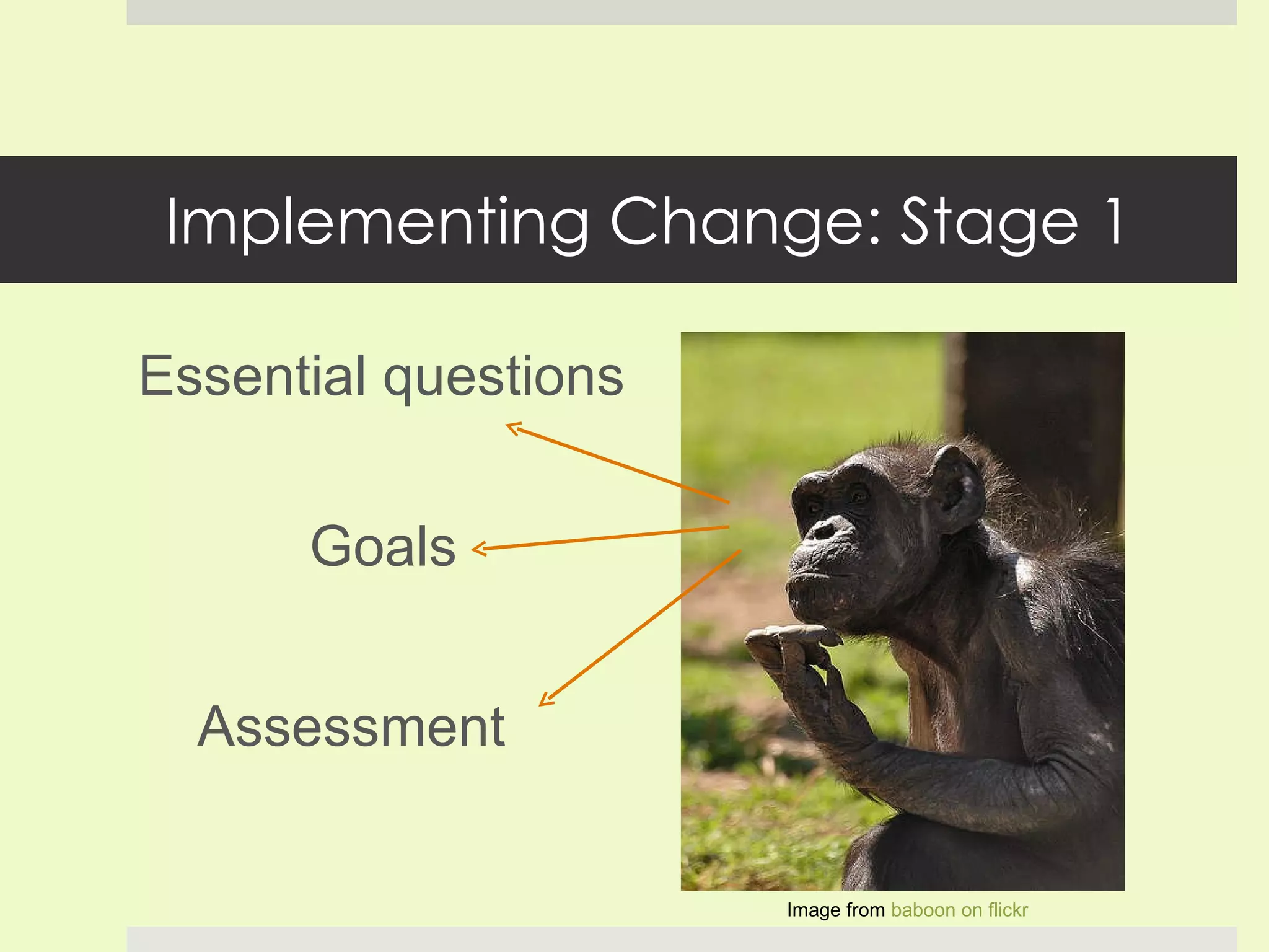 Implementing Change: Stage 1 Assessment  Essential questions Goals Image from  baboon on flickr 