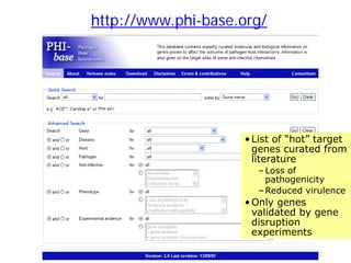 http://www.phi-base.org/
• List of “hot” target
genes curated from
literature
–Loss of
pathogenicity
–Reduced virulence
• ...