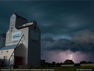 Persiguiendo tormenta fuera de Pense, Saskatchewan, antes del verano.   By: Vanessa Neufeld
 