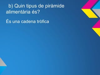 b) Quin tipus de piràmide
alimentària és?
És una cadena tròfica
 