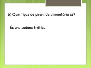 b) Quin tipus de piràmide alimentària és?
És una cadena tròfica
 