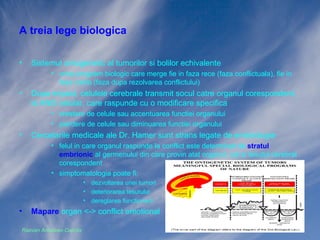 A treia lege biologica
•

Sistemul ontogenetic al tumorilor si bolilor echivalente
• orice program biologic care merge fie in faza rece (faza conflictuala), fie in
faza calda (faza dupa rezolvarea conflictului)

•

Dupa impact, celulele cerebrale transmit socul catre organul corespondent,
la ADN celular, care raspunde cu o modificare specifica
• crestere de celule sau accentuarea functiei organului
• pierdere de celule sau diminuarea functiei organului

•

Cercetarile medicale ale Dr. Hamer sunt strans legate de embriologie
• felul in care organul raspunde la conflict este determinat de stratul
embrionic al germenului din care provin atat organul, cat si tesutul cerebral
corespondent
• simptomatologia poate fi:
• dezvoltarea unei tumori
• deteriorarea tesutului
• dereglarea functionarii

•

Mapare organ <-> conflict emotional

Razvan Ardelean-Caprita

 