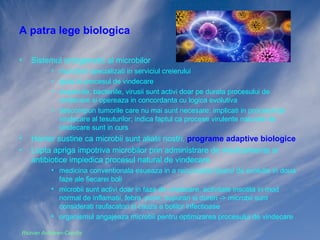 A patra lege biologica
•

Sistemul ontogenetic al microbilor
• muncitori specializati in serviciul creierului
• ajuta la procesul de vindecare
• ciupercile, bacteriile, virusii sunt activi doar pe durata procesului de
vindecare si opereaza in concordanta cu logica evolutiva
• descompun tumorile care nu mai sunt necesare; implicati in procesul de
vindecare al tesuturilor; indica faptul ca procese virulente naturale de
vindecare sunt in curs

•
•

Hamer sustine ca microbii sunt aliatii nostri, programe adaptive biologice
Lupta apriga impotriva microbilor prin administrare de medicamente si
antibiotice impiedica procesul natural de vindecare
• medicina conventionala esueaza in a recunoaste tiparul de evolutie in doua
faze ale fiecarei boli
• microbii sunt activi doar in faza de vindecare, activitate insotita in mod
normal de inflamatii, febra, puroi, supurari si dureri -> microbii sunt
considerati raufacatori si cauza a bolilor infectioase
• organismul angajeaza microbii pentru optimizarea procesului de vindecare

Razvan Ardelean-Caprita

 