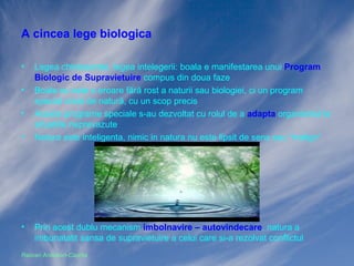 A cincea lege biologica
•
•
•
•

•

Legea chintesentei, legea intelegerii: boala e manifestarea unui Program
Biologic de Supravietuire compus din doua faze
Boala nu este o eroare fără rost a naturii sau biologiei, ci un program
special creat de natură, cu un scop precis
Aceste programe speciale s-au dezvoltat cu rolul de a adapta organismul la
situatiile neprevazute
Natura este inteligenta, nimic in natura nu este lipsit de sens sau “malign”

Prin acest dublu mecanism imbolnavire – autovindecare, natura a
imbunatatit sansa de supravietuire a celui care si-a rezolvat conflictul

Razvan Ardelean-Caprita

 