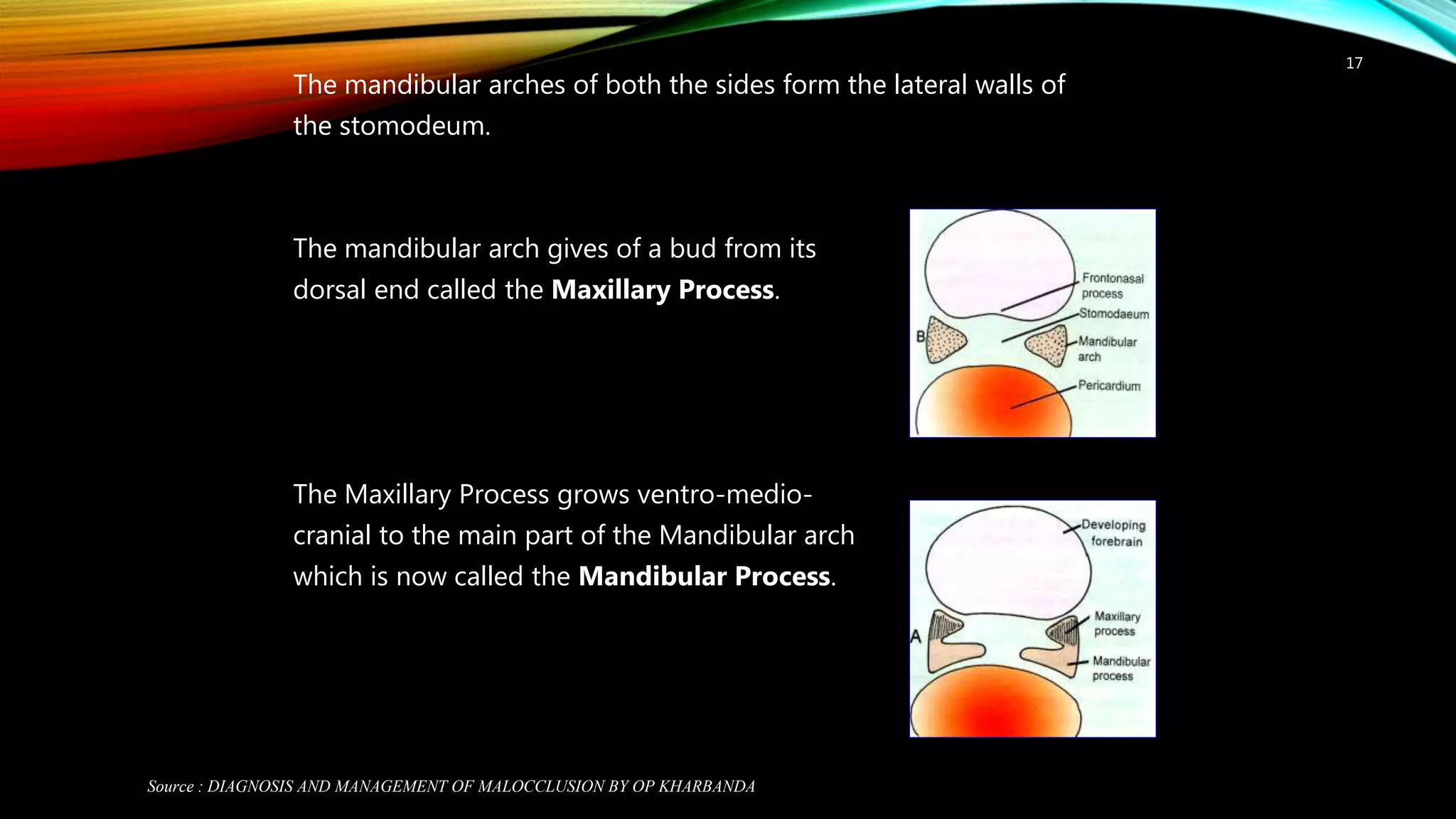 prenatal and post natal development of maxilla | PPTX