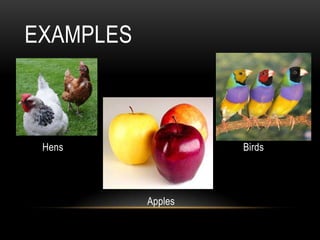 EXAMPLES



 Hens               Birds




           Apples
 