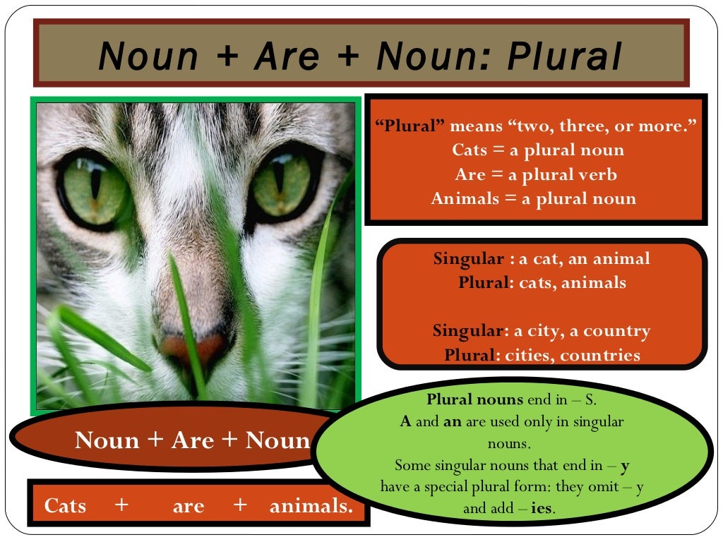 Noun and noun followed by are plural and singular