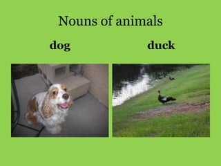 Nouns of animals
dog           duck
 