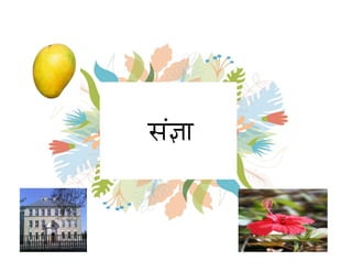 Noun (Hindi Grammar) | PDF