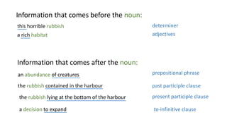 Information that comes before the noun:
this horrible rubbish determiner
adjectives
Information that comes after the noun:
an abundance of creatures
a rich habitat
prepositional phrase
the rubbish contained in the harbour past participle clause
the rubbish lying at the bottom of the harbour present participle clause
a decision to expand to-infinitive clause
 
