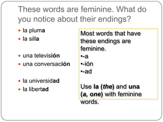 These words are feminine. What do you notice about their endings?la plumala sillaunatelevisiónunaconversaciónla universidadla libertadMost words that have these endings are feminine.-a